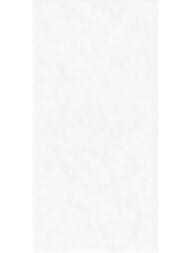 ������ ��������� Alma Ceramica Discover (249x500) ����� TWU2550DCV00 (��.�)