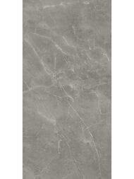 ��������������� ������ Atlas Concorde Marvel Grey Fleury Matt (600�1200) �����, A21F (��.�.)