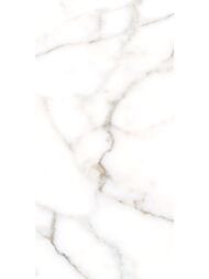 ������ ��������� Alma Ceramica Grigio (249x500) ����� TWU09GRG007 (��.�)
