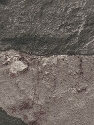 ���� ��������� �� ��������� Grandeco Wanderlust WL 3303 (0,53�10,05) ������, ������ (���.)