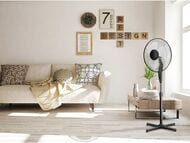 ���������� ��������� Ballu BFF-855 �� 20 �2, 3 ������, ������