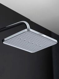 ������� ������� � ���������� �������-��������������, ������ � ������� ����� , FRAP ����, F2486