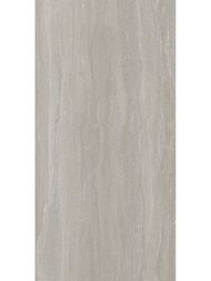 ��������������� ������ Italgraniti DORSET Cenere Vein Cut (800�1600) DR08GA (��.�)