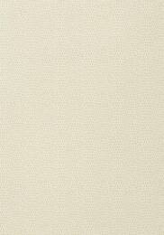 ���� ��������� �� ������� ������ Thibaut Texture Resource V (0,673�8,23) ������� T57152 (�����)