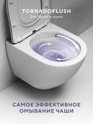 ������ ��������� Abelsberg Acrade TornadoFlush ARC60801WH ����� ������