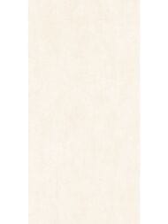 ��������������� ������ Alma Ceramica Berlin (600x1200) ������� GFU60120BLN04R (��.�)