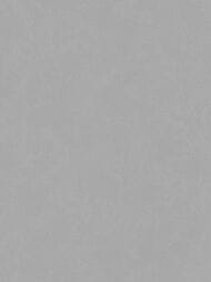 ���� ��������� �� ��������� Wiganford All time Trend Art (1,06�10,05) �����, WG0608 (���.)