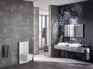 Раковина Geberit VariForm (550х400) накладная, без отв. под смеситель, без перелива 500.779.01.2