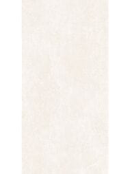 ��������������� ������ Alma Ceramica Beton Pro (600x1200) ����� GFU60120BTP04R (��.�)