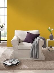     Rasch Amazing (0,5310,05)  531442 (.)