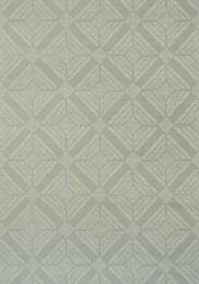 ���� ����������� �� ��������� Thibaut Paramount Modern Resource (0,91�7,32) ���������� T433 (�����)
