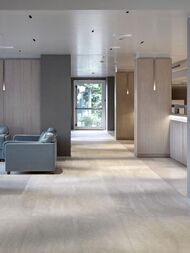 ��������������� ������ LAMINAM I NATURALI Diamond Cream Luc.(1000�3000�5,6) LAMFF00376_IT (��.�.)