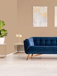 ���� ������������ Hygge 77 Colors C2 04 (1,00�10,05) ���������� (���.)