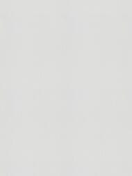 ���� ��������� �� ��������� Marburg Memoria (1,06�10,05) �����, �����30374 (���.)