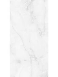 ��������������� ������ Staro Palacio Antisky Grey light Polished (600�1200�9) �����, ����� (��.�.)