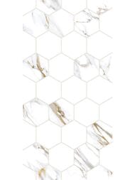 ������ ��������� Alma Ceramica Dublin (249x500) ����� TWU09DBL014 (��.�)