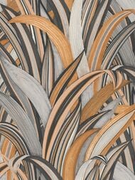     Rasch Amazing (0,5310,05) ,  541274 (.)