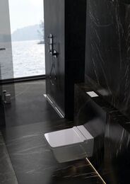 Сиденье для унитаза Geberit Xeno2 с микролифтом, петли металлические 500.537.01.1