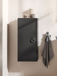 ������� Duravit White Tulip 880�400�240 ���������, 1 ������, 2 �����, �����, ������ ��. WT1323LH1H1