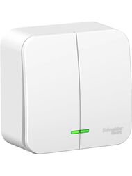 ����������� Systeme Electric BLANCA 2-��������� �����. ��.5 �����. ��.��. 10� 250� ����� BLNVA105111