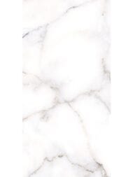 ������ ��������� Alma Ceramica Grigio (249x500) ����� TWU09GRG007 (��.�)
