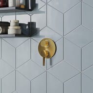   / Paini Brera , ,   74PJ6911