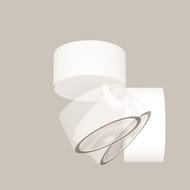 ���������� ���������� Maytoni Spin (����) O310CL-L7W3K, 3000� 7�� IP 54, �����