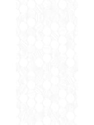 ������ ��������� Alma Ceramica Bolle (249x500) ����� TWU09BOL000 (��.�)