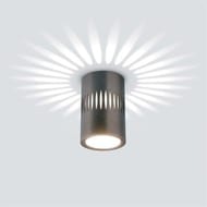 ��������� ���������� Elektrostandard DLS025, ������