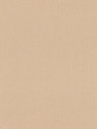 ���� ��������� �� ��������� Rasch Allegretto (0.53x10.05) ���������, ������� 690774 (���.)