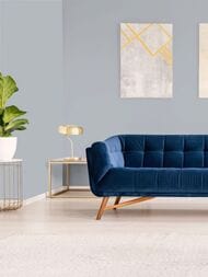 ���� ������������ Hygge 77 Colors C6 02 (1,00�10,05) ������� (���.)