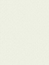 ���� ��������� �� ��������� Wiganford Teodoro (1,06�10,05) ����������, �����, WG50175 (���.)