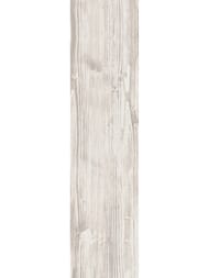   Laparet Fernando (147594) , ,  9999295016  (..)