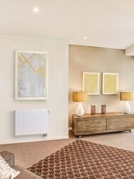 �������� �������� Royal Thermo Ventil Compact ��� 11 ���:500�2800�60, 3344��, ������ �����., �����