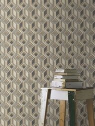     Rasch Indian Style (0,5310,05) , ,   746532 (.)