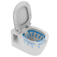 ����������� Ideal Standard ProSys + ������ CONNECT Rimless + ������� ��������� E8822301PC15