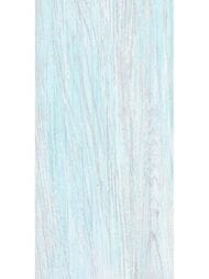 ������ ��������� Alma Ceramica North (249x500) ������� TWU09NRT606 (��.�)