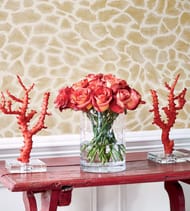   Thibaut Colony (0,698,22)  T10223 ()