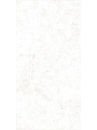 ������ ��������� Alma Ceramica Trevis (249x500) ����� TWU09TVS014 (��.�)