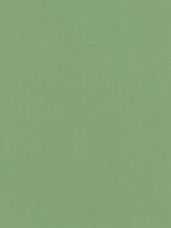     Rasch Natural Colors (0,5310,05)  537918 (.)