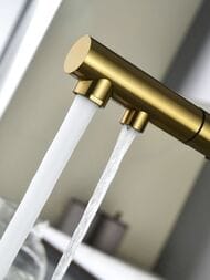 ��������� ��� ����� SERPENTINE, ������������� ������, Se213222-BG, Paulmark