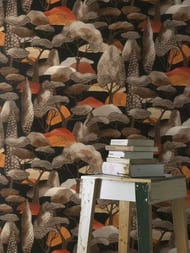 ���� ��������� �� ��������� Rasch Allegretto (0.53x10.05) ������, ������������ 581225 (���.)