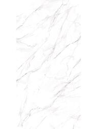 ��������������� ������ Alma Ceramica Neo Calacatta (600x1200) ����� GFU60120NCL07R (��.�)