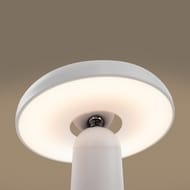 ���������� ����� ������������ �����. Freya Mushroom (������) FR6109TL-L4W,90 Ra,220/240 V,IP20�����