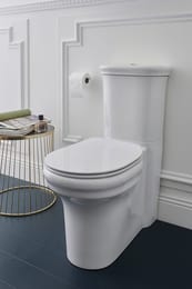  - Jacob Delafon Cleo 1889 UJAC102-0 (670370410) . , 