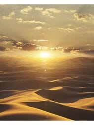  Marburg Dune 32545 (2,122,70) ,  (.)