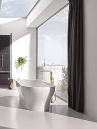 ��������� Grohe Essence 23491GL1 ��� �����, ���������, ������������, �������� �������