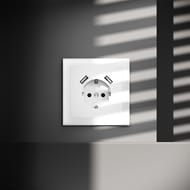 Розетка с USB Voltum S70 VLS040402, белый матовый — изображение 2