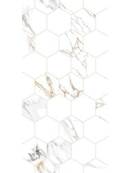 ������ ��������� Alma Ceramica Dublin (249x500) ����� TWU09DBL014 (��.�)