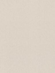 ���� ��������� �� ��������� Rasch Gentle Elegance (1,06x10,05) ���������, ������� 980349 (���.)